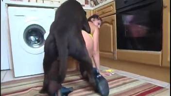 Huge canine is pounding her snatch super quick