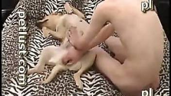 Cute submissive dog has her canine pussy stretched