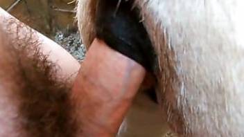 Fuck your hairy dick black hole white horse
