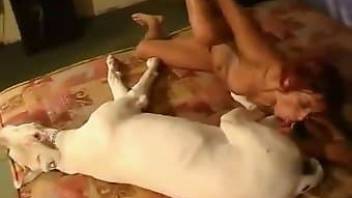 Hardcore sex with a nice looking doggy