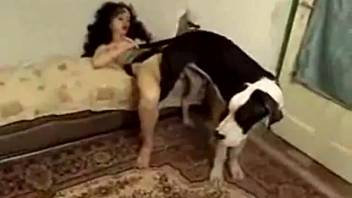 Homemade dog sex