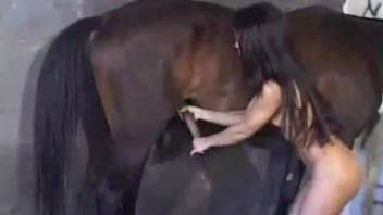 Horse stable