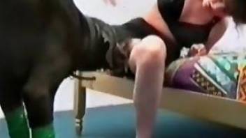 Sensual dog enjoys a brutal pet sex
