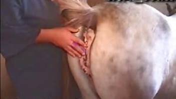 Watch how she is fucking with a horse