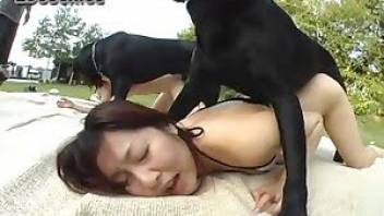 Animals sex with outdoor fucking in HD