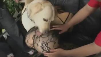 Animal sex videos featuring a submissive Japanese girl. Complimentary zoophilia and beast porn