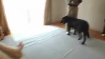 Free bestiality will get her off super quick