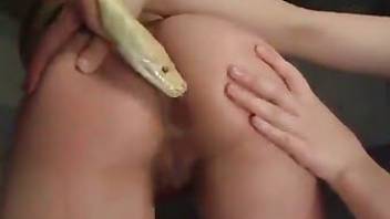 Animal sex com porn movie with wild action