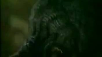 Animal Sex: Pair of females with a swine in a stable. No-cost beastiality and creature pornography