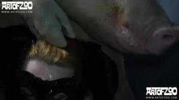 Pig cock creampies a hot hole on camera