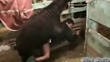 black pony screws bitch in her butthole