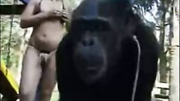 blonde have sex with her lovely monkey