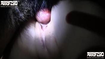 Animal porn movie with truckloads of fucking