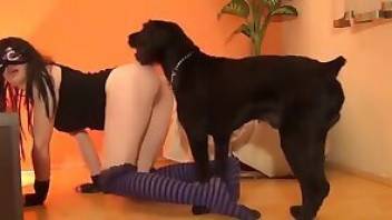 Doggystyle bestiality dog sex scene in HQ