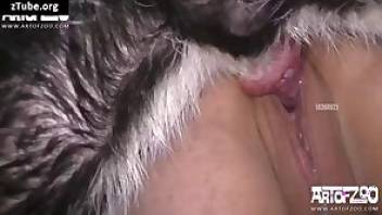 Dog porn movie with hardcore humping