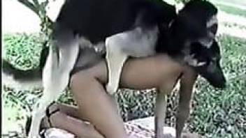 HD bestiality outdoor dog sex action