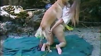 Sensual outdoor porn with a gorgeous dog