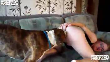 Insane canine zoophilia involving his spouse. Complimentary beast sex and animal erotica