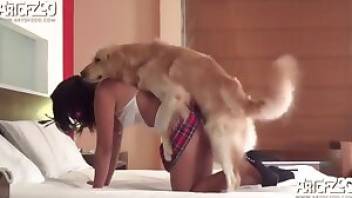 Close-up passionate sex with dog. Free bestiality and animal porn