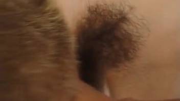 Canine threesome intercourse