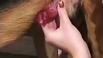 Bestiality video with nice blowjobs in HD