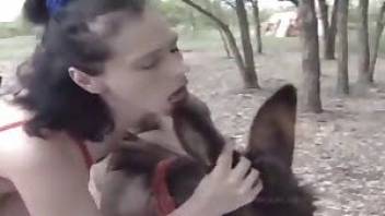 Donkey