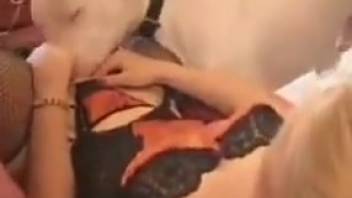 Animal sex videos packed with steamy oral sex on women