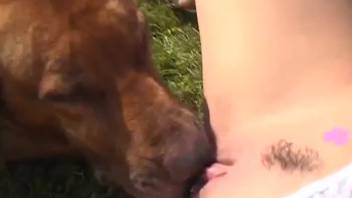 Masturbating babe licked thoroughly by a dog