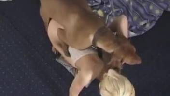 Blond-haired amateur boned by a dog