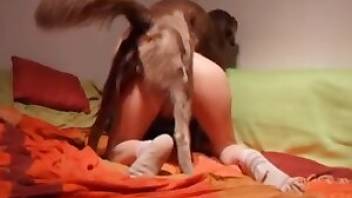 This will teach you how to fuck a dog. Free bestiality and animal porn