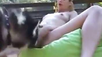 Animal porn with pussy licking and more