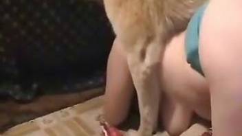 Animals sex with a really hot BBW