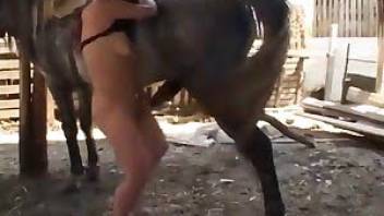 Seduced chick likes oral sex with a horse