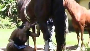 Crazy farm slut is sucking her lovely horse