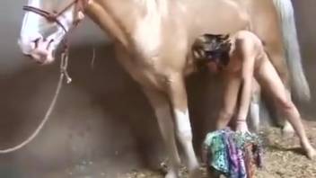 Penetrated a donkey anally while it remained standing
