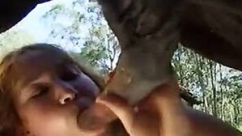 Girl sucks horse in horse sex porn XXX