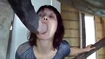Girl fucks a horse after oral. Free bestiality and animal porn