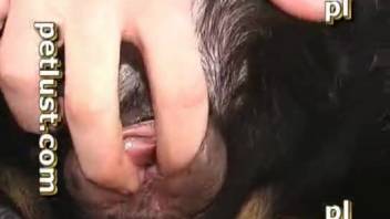 Man fucks dog porn with hardcore loving