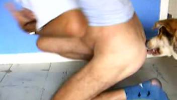 Free homosexual bestiality clip. No-cost zoophilia and animal sex porn