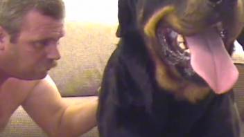 Steamy chubby guy bangs a hot beast