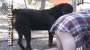 BBW submits to her animal desires