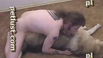 Dude banging a dog's hole on the floor