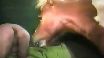 Big cock pony fucking a hairy asshole