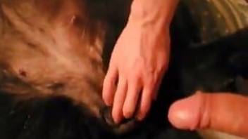 Guy stimulates dog hole in close-up