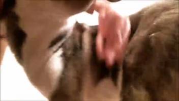 Authentic steamy bestiality clips featuring genuine climaxes