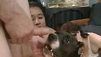 pitbull gets a juicy deep blowjob on cam