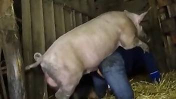 Pig porn movie with animal sex that will make you cum